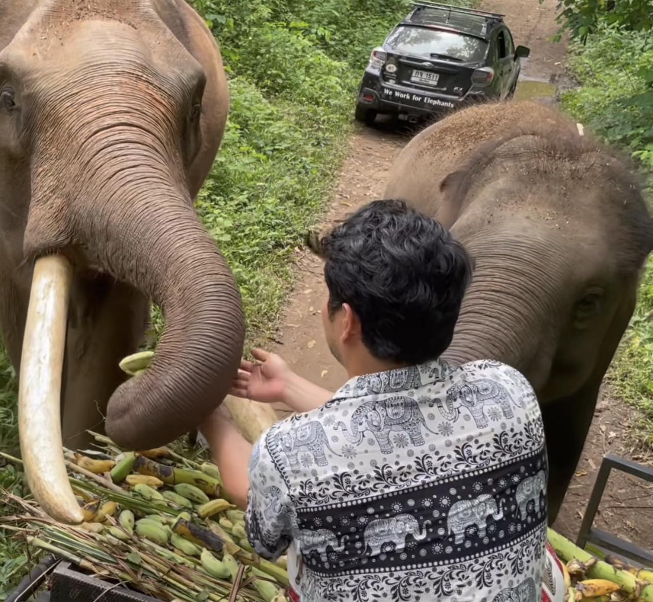 "ซีมู หลิว" สุดเริงร่า! ท่องเที่ยวไทยจากแดนใต้สู่ถิ่นเหนือ