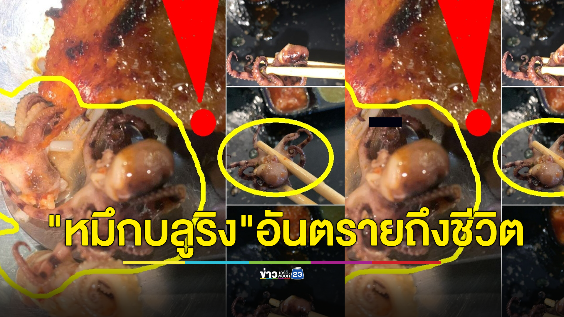 "อ.เจษฎ์" แนะวิธีดู "หมึกบลูริง" เตือนห้ามนำมารับประทาน แม้จะทำให้สุกแล้ว