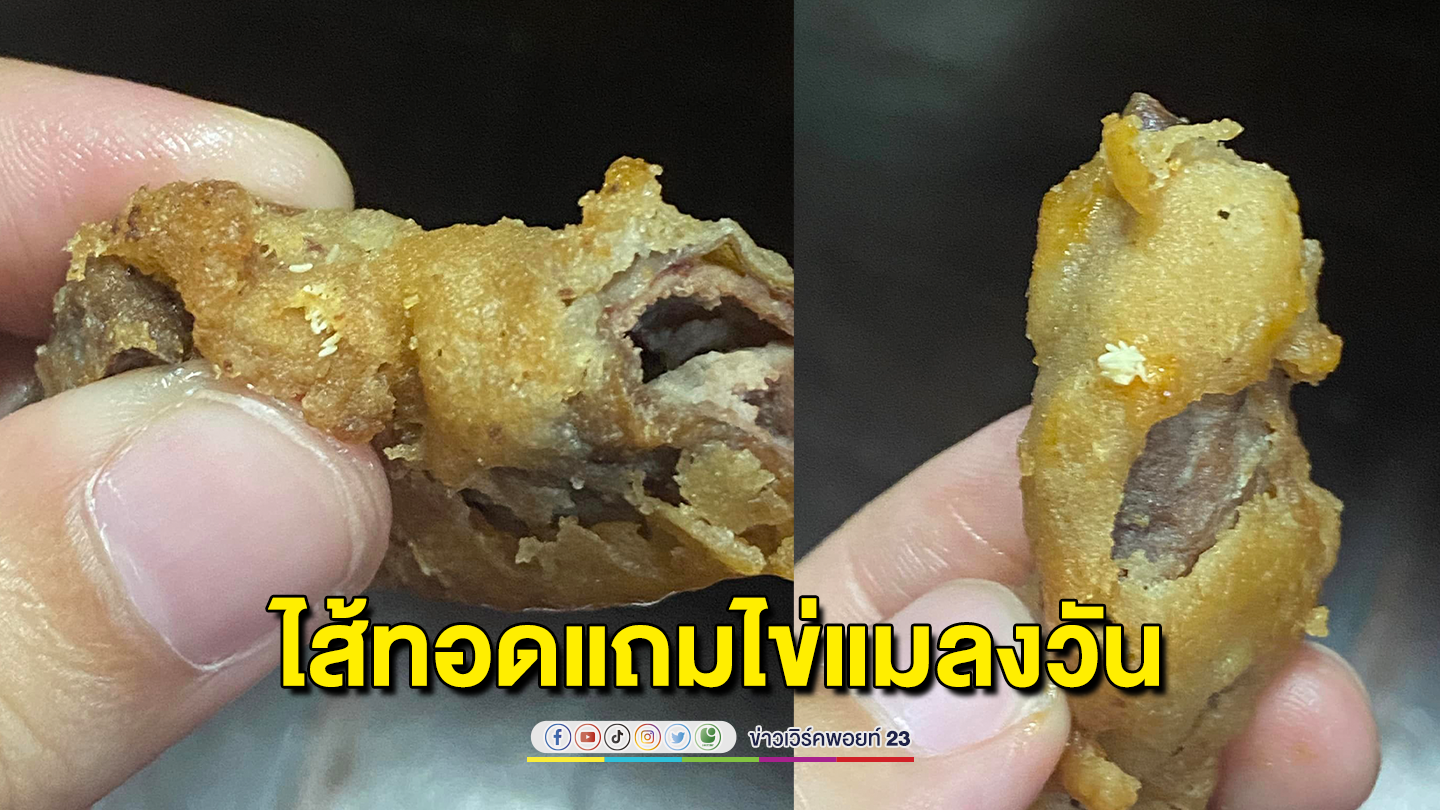 อวสานไส้ทอด! สาวซื้อไส้ทอดจากร้านก๋วยเตี๋ยวความหิวบังตากินเกือบหมด พบไข่แมลงวัน