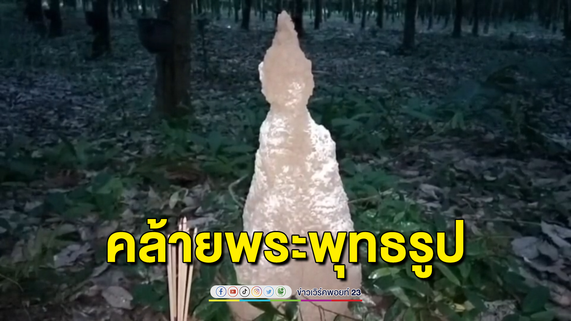 ฮือฮา พบจอมปลวกแปลกคล้ายพระพุทธรูป โผล่กลางสวนยาง คอหวยส่องหาตัวเลข