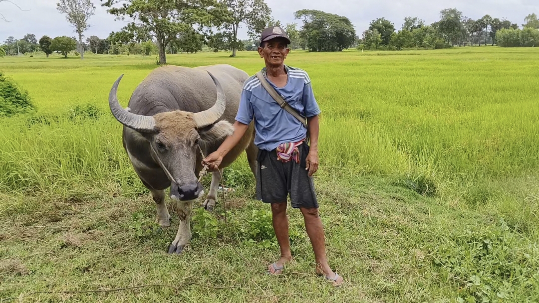 เปิดใจ 'ลุงวัน' ตระเวนอุดหลุมซ่อมถนนทั่วเมืองศรีสะเกษ
