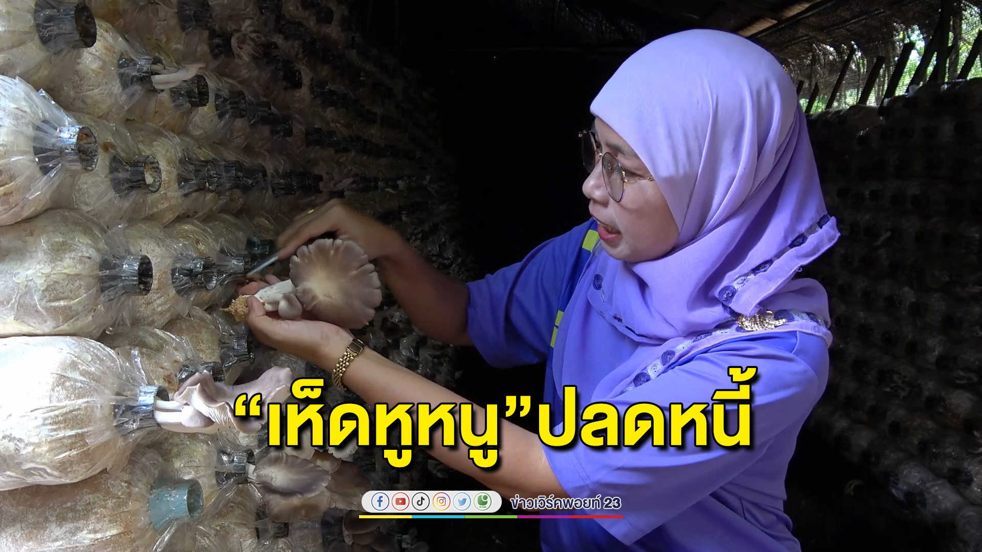 ปลูกเห็ดหูหนู ปลดหนี้ด้วยลำแข้ง สามารถสร้างรายได้ 2 แสนบาทต่อเดือน