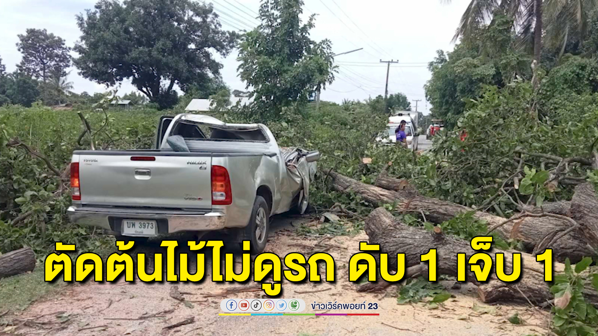 ผัวเมียขับรถมาดีๆ เจอคนตัดต้นไม้ล้มทับ ดับ 1 เจ็บ 1