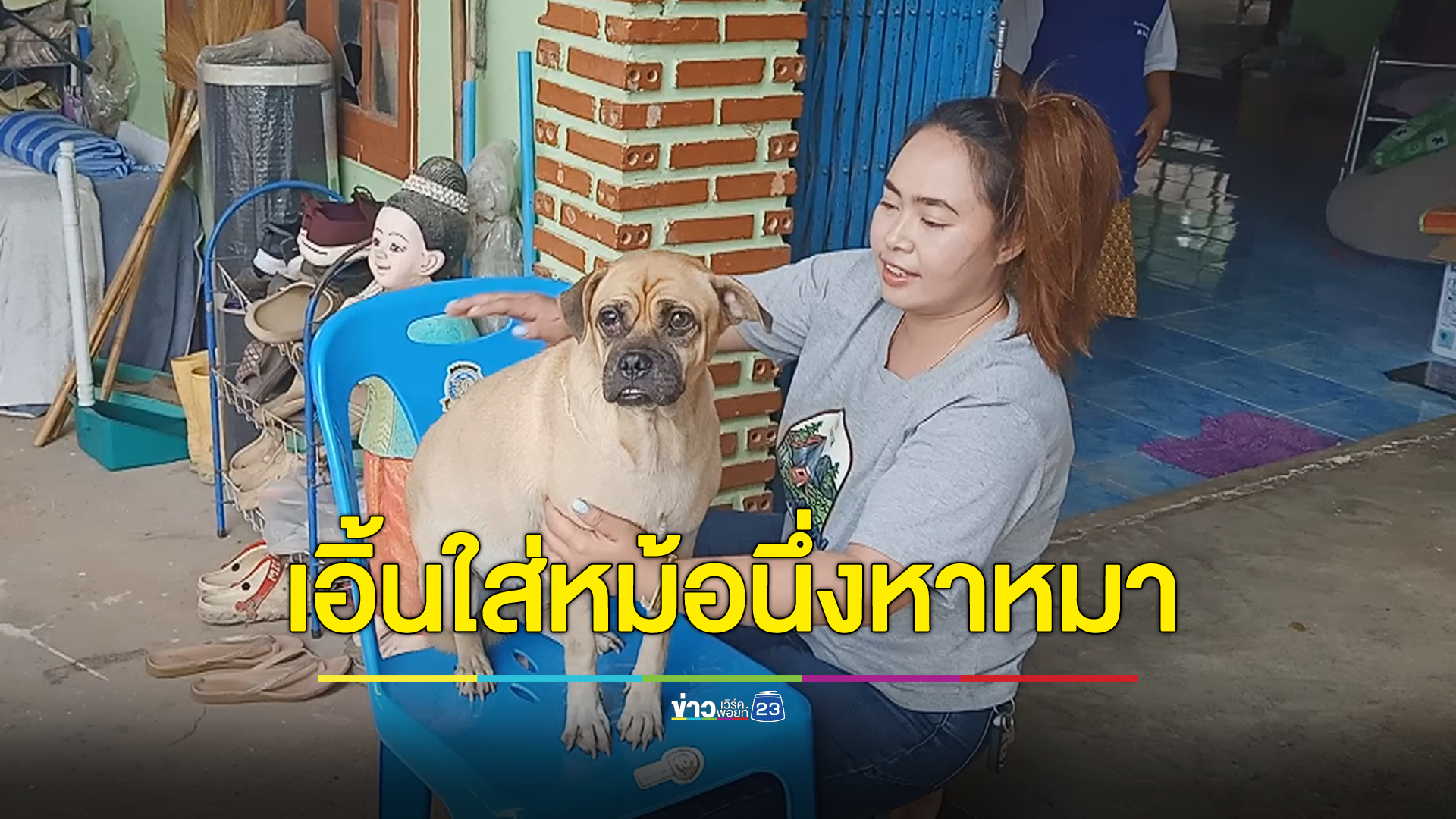 หมางอนหนีหายนาน 5 วัน เจ้าของลอง “เอิ้นใส่หม้อนึ่ง” สุดท้ายเจอ!