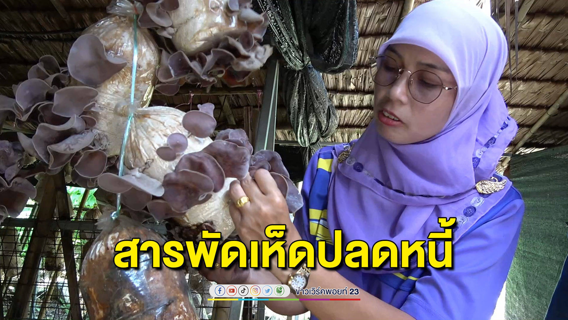 ปลดหนี้ด้วยสารพัดเห็ด รายได้ดีเดือนละ 2 แสน