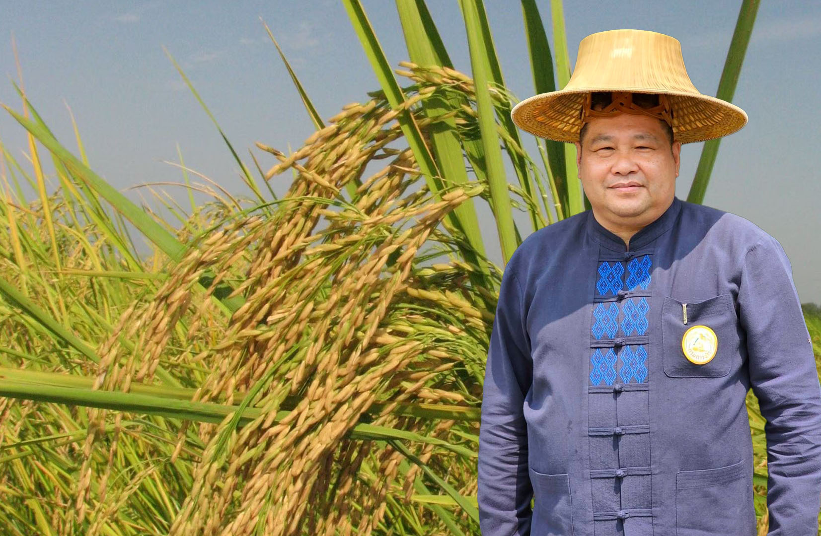 เปลี่ยนเมล็ดพันธุ์ข้าวเพื่อผลผลิตที่มีคุณภาพ