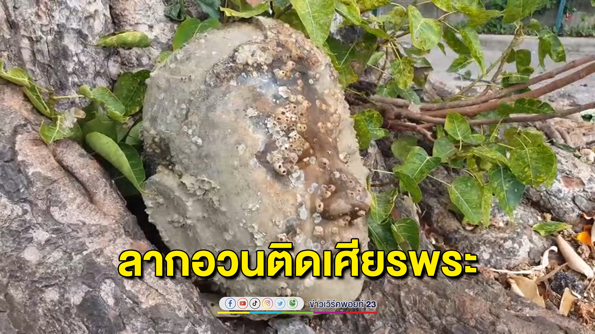 หนุ่มประมงลากอวนติดเศียรพระพุทธรูป ไม่กล้าเอากลับบ้าน ทิ้งไว้ริมเขื่อนกันคลื่น ตกดึกนอนฝันผวา