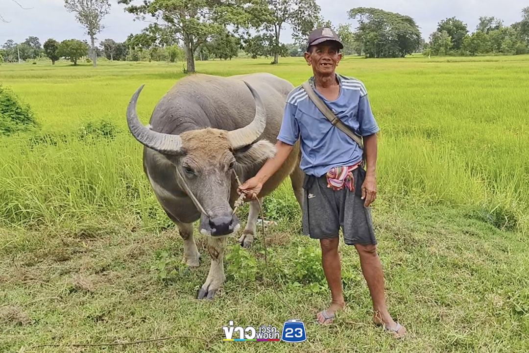 ฝังใจลูกตายเพราะถนนพัง ลุง 64 ตระเวนซ่อมถนน