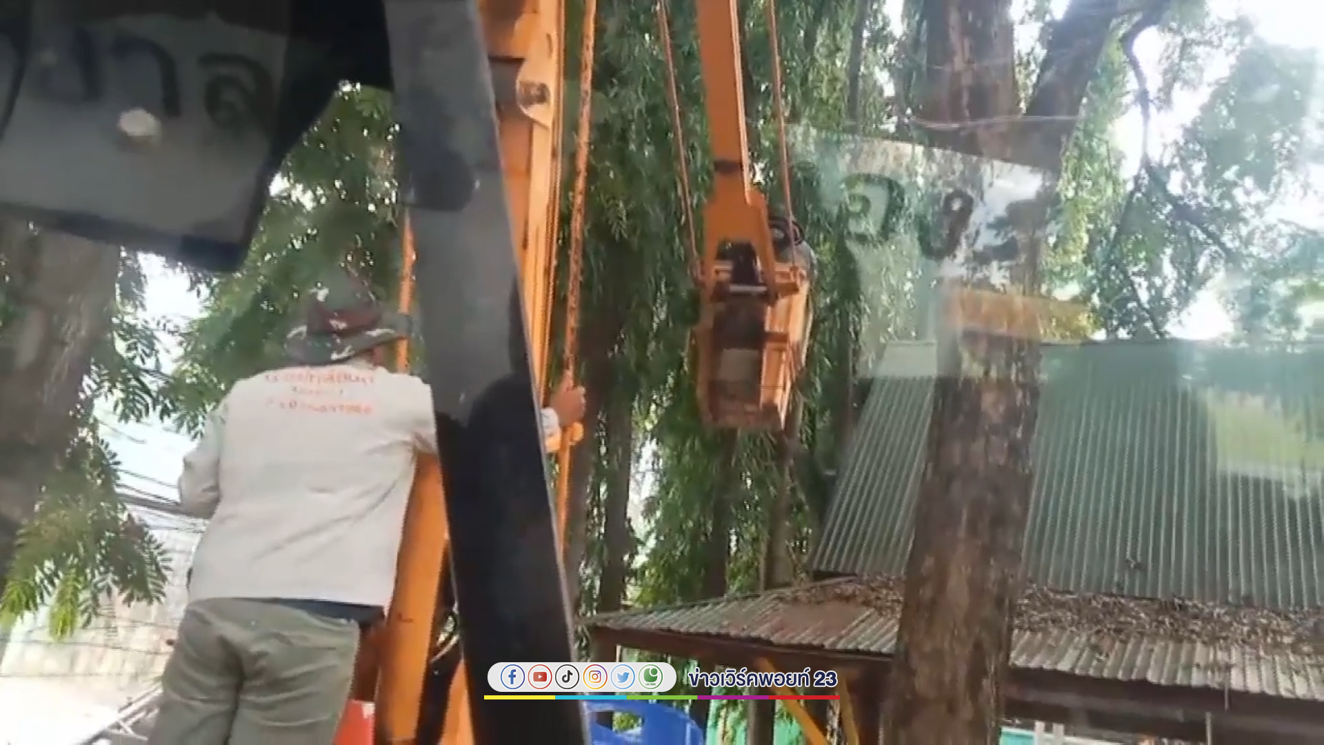 วุ่นทั้งโรงเรียน นร.ชายเอาก้อนหินขว้างใส่รังผึ้งหลวงบนต้นไม้ ผึ้งแตกรังรุมต่อย ครู เพื่อนนร. หามส่งรพ.
