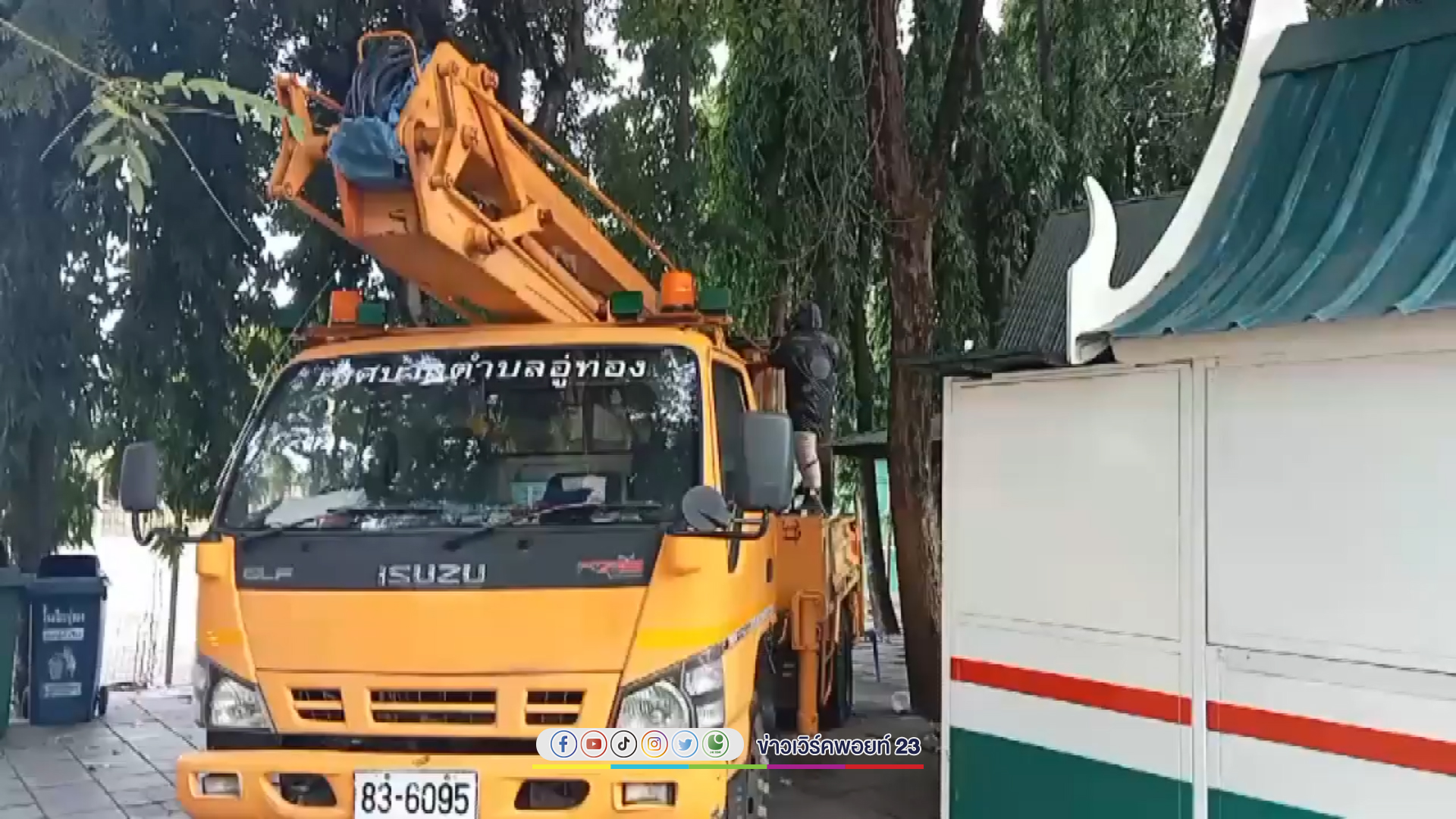 วุ่นทั้งโรงเรียน นร.ชายเอาก้อนหินขว้างใส่รังผึ้งหลวงบนต้นไม้ ผึ้งแตกรังรุมต่อย ครู เพื่อนนร. หามส่งรพ.