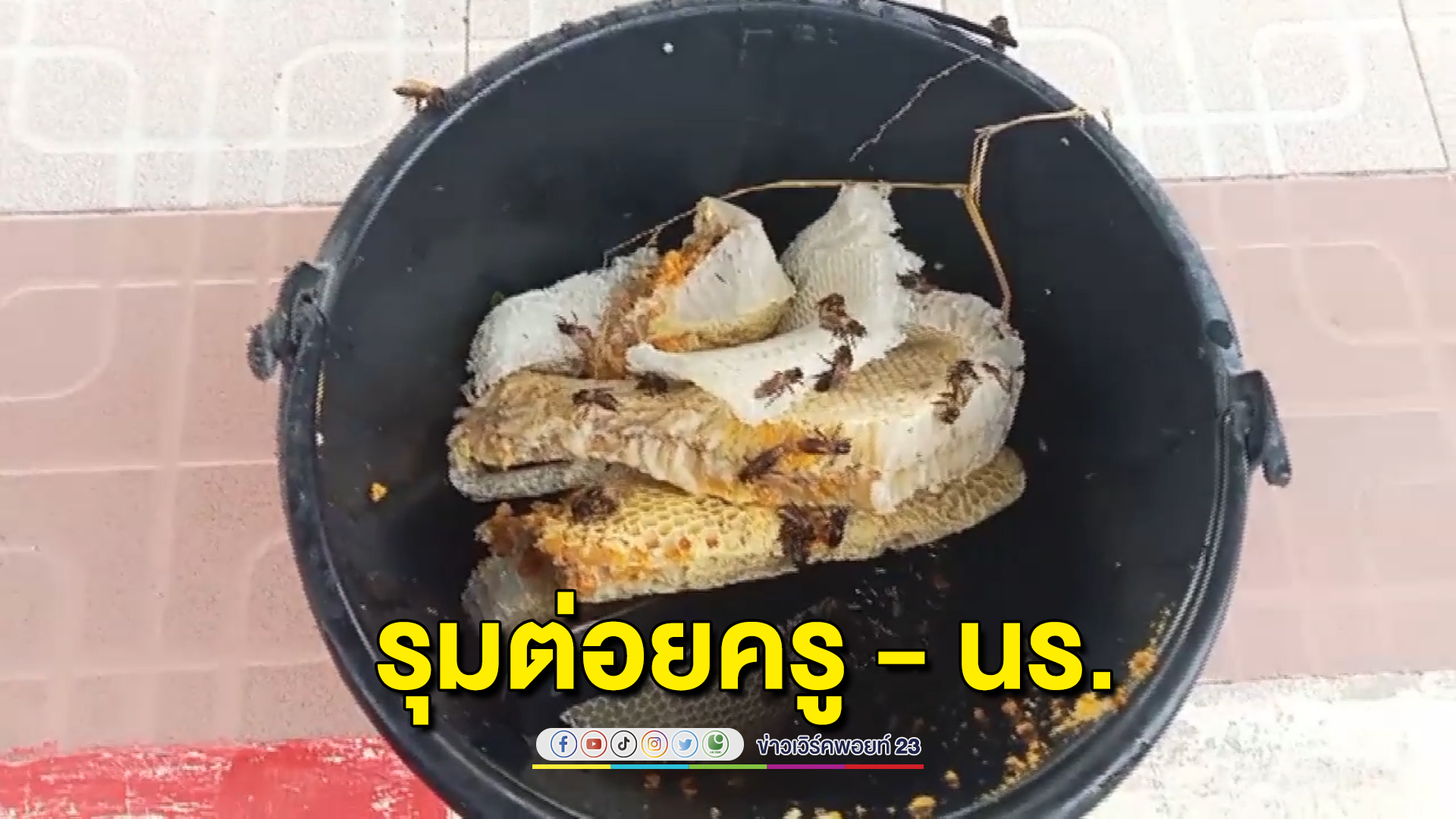 วุ่นทั้งโรงเรียน นร.ชายเอาก้อนหินขว้างใส่รังผึ้งหลวงบนต้นไม้ ผึ้งแตกรังรุมต่อย ครู เพื่อนนร. หามส่งรพ.