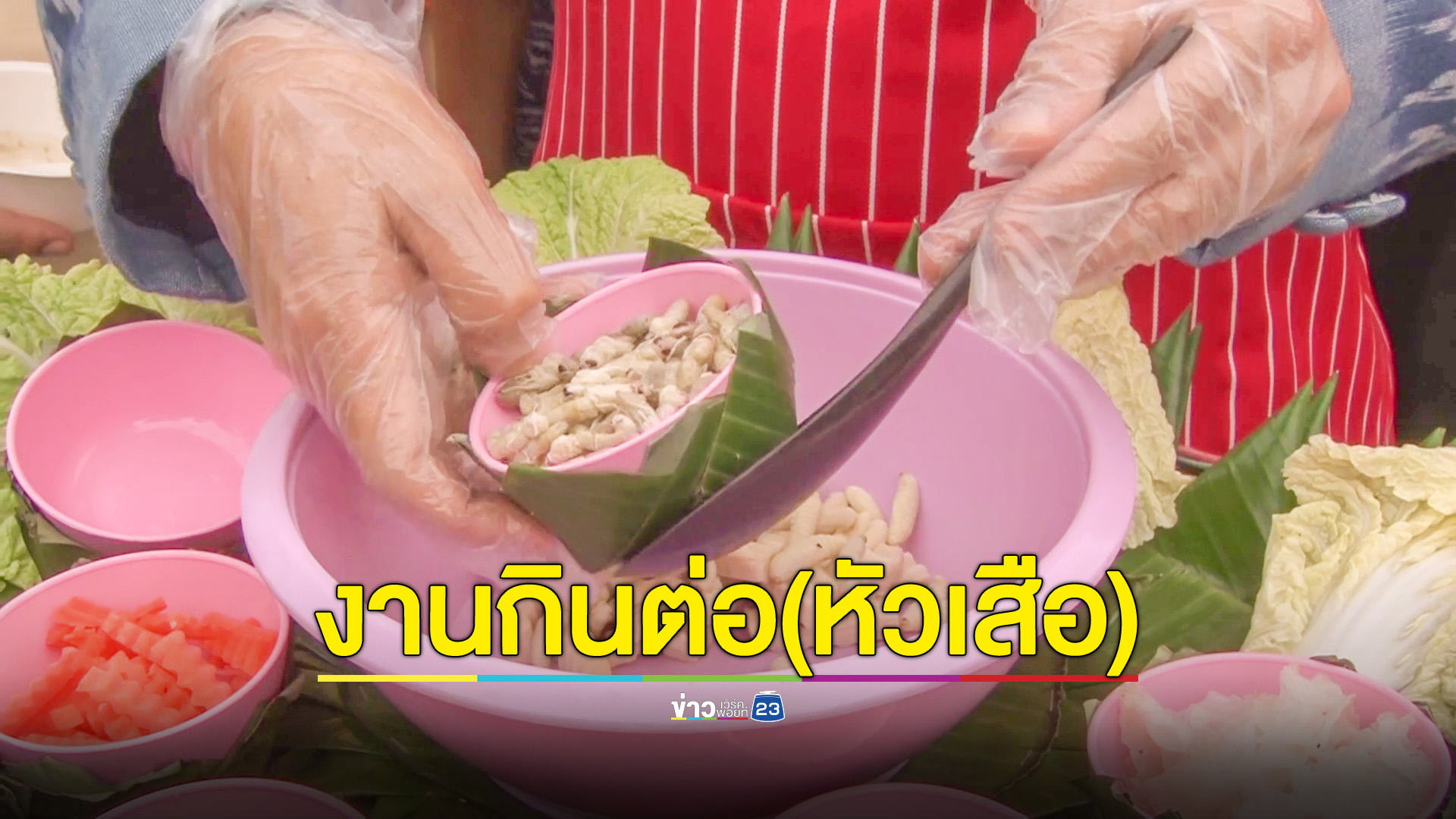 ที่เดียวในโลก! เทศกาลกินต่อหัวเสือ โชว์พิซซ่า ชูชิ ตัวต่อ ทึ่งรังต่อราคาเป็นหมื่น