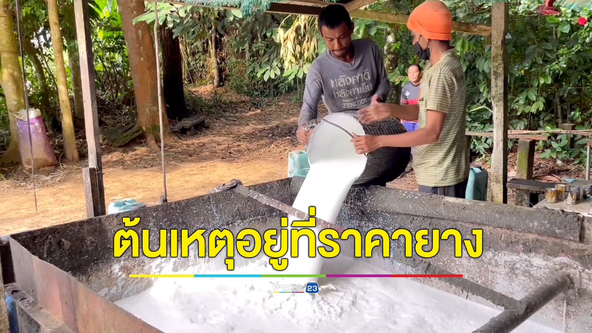 ชาวสวนยางเห็นด้วยนโยบายพักหนี้ แต่ควรแก้ต้นเหตุที่ราคาตกต่ำด้ว