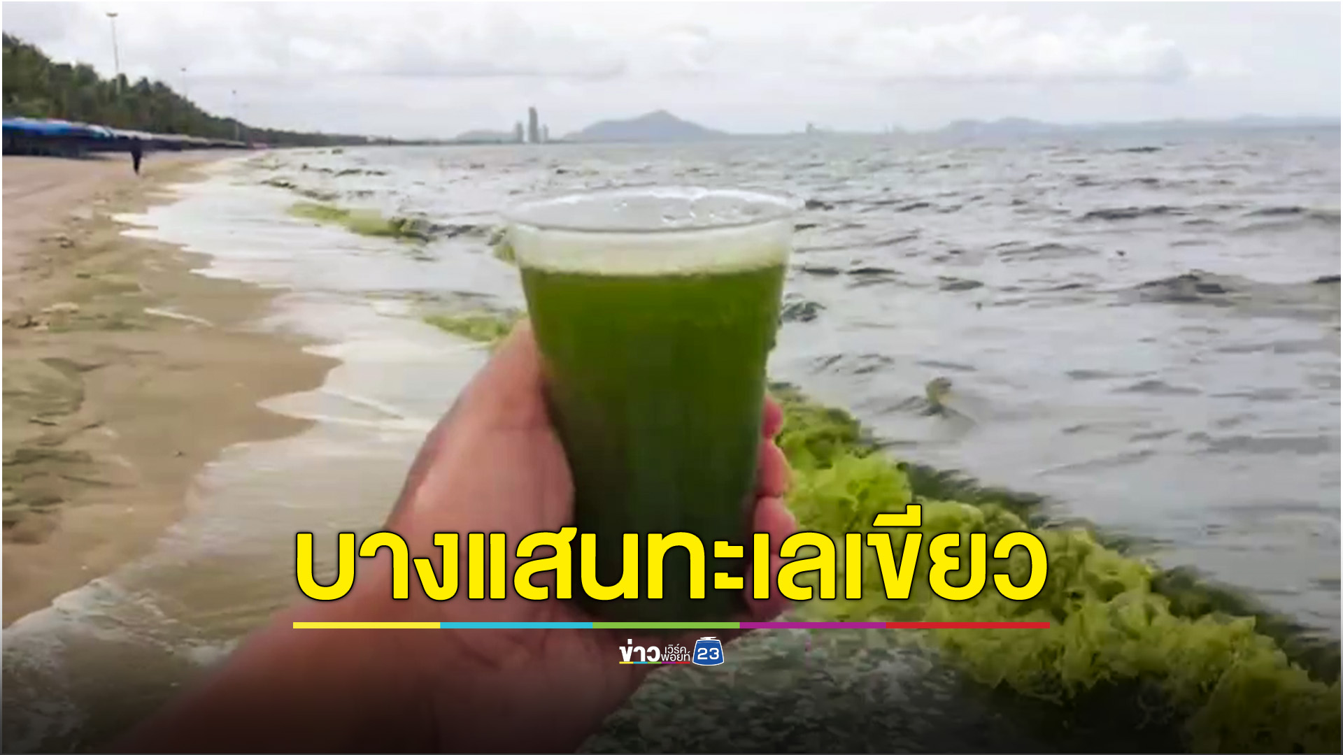 ทะเลบางแสน น้ำเป็นสีเขียว เหตุ ฝนตกต่อเนื่อง เกิดแพลงก์ตอนบลูม