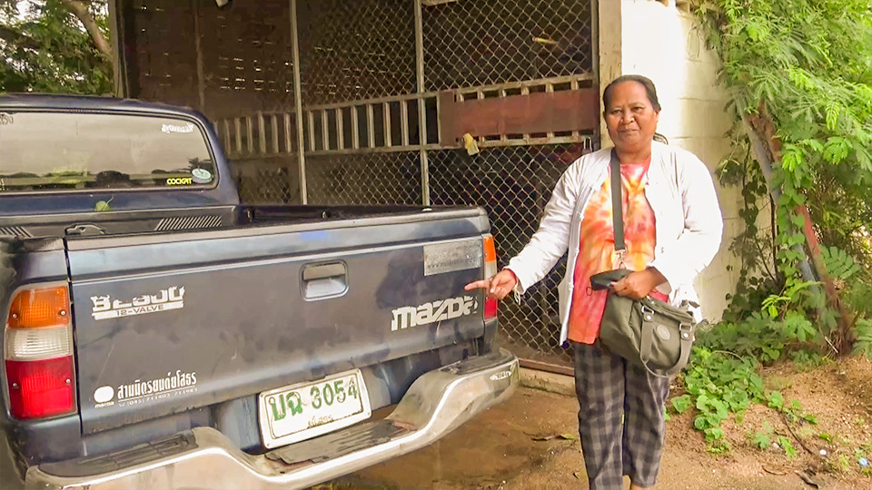 สุดแปลกเห็ดสู้ชีวิตเกิดขึ้นที่กระบะรถ เชื่อให้โชค