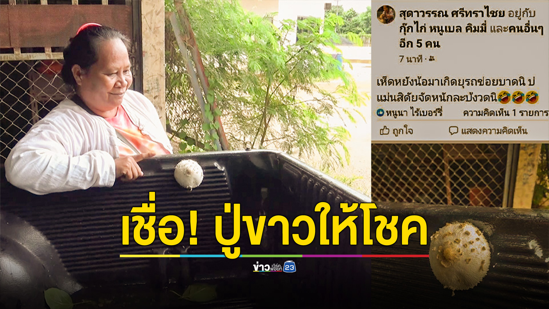 สุดแปลกเห็ดสู้ชีวิตเกิดขึ้นที่กระบะรถ เชื่อให้โชค