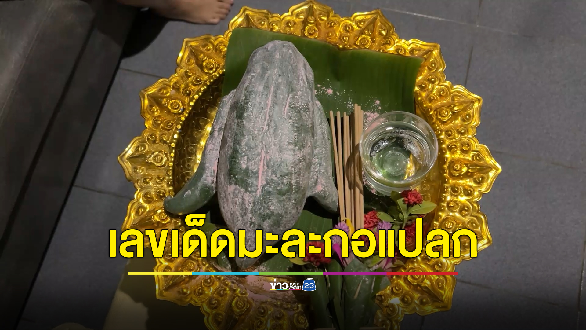 คอหวยฮือฮา ลูกมะละกอแปลกคล้ายนกเพนกวิน จัดขันธ์ 5 ส่องหาเลขเด็ดลุ้นรวย