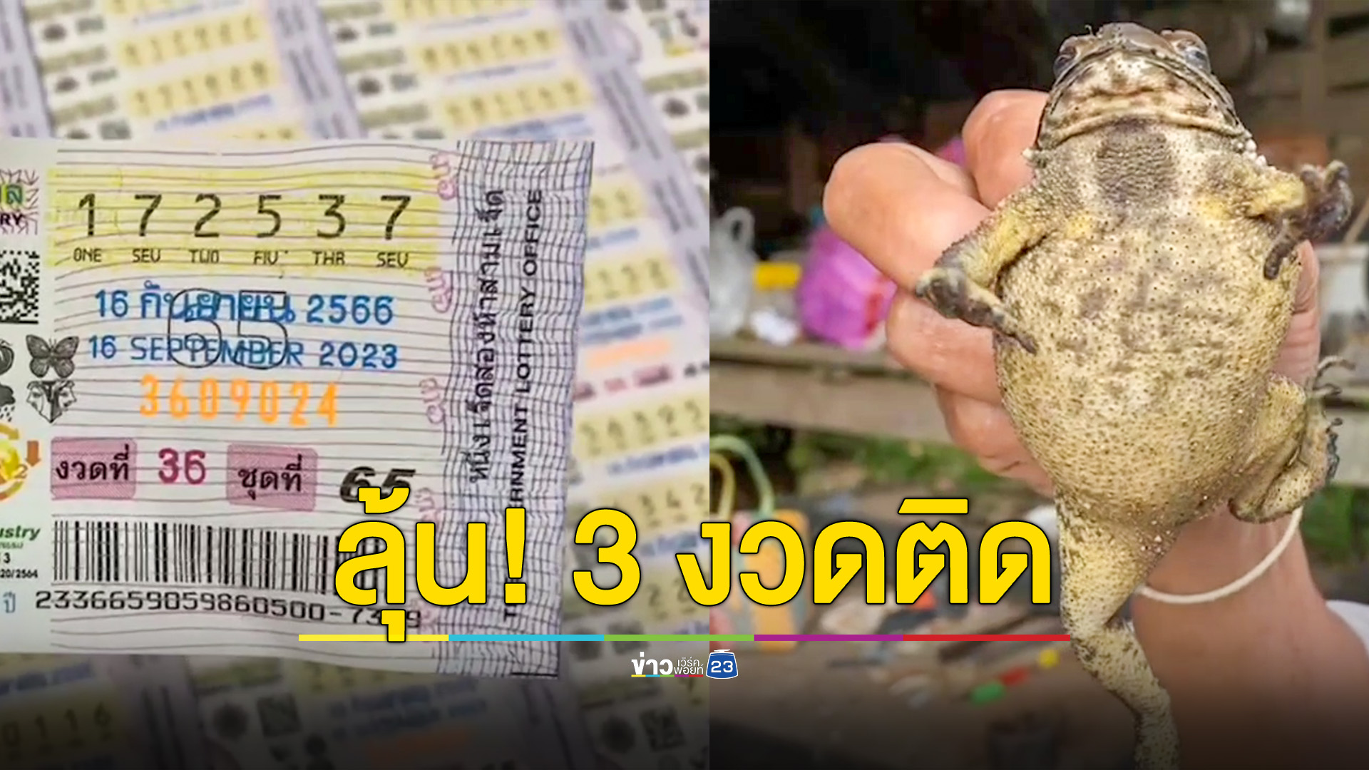 เผยเลขเด็ด! คางคกซุกบ้านนานข้ามเดือน