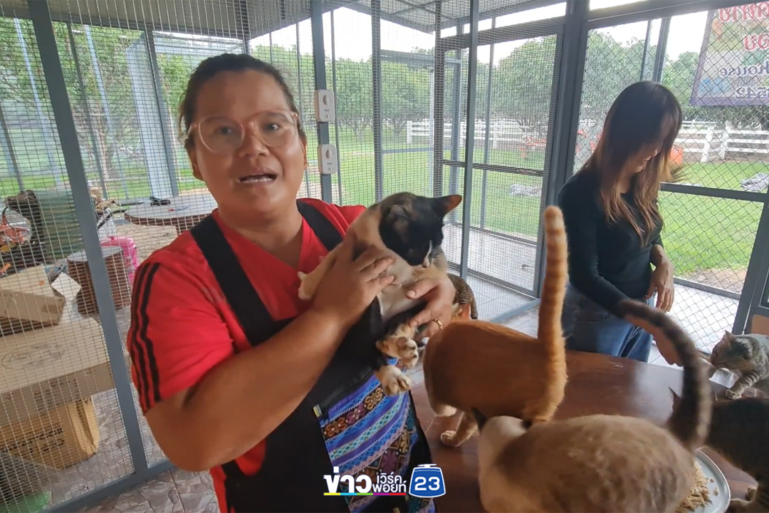 สาวสุโขทัยใจบุญเปิดคาเฟ่หาเงินเลี้ยงสุนัขจร - แมวจร กว่า 100 ชีวิต แถมไถ่ชีวิตแพะ วัว ต่อลมหายใจ