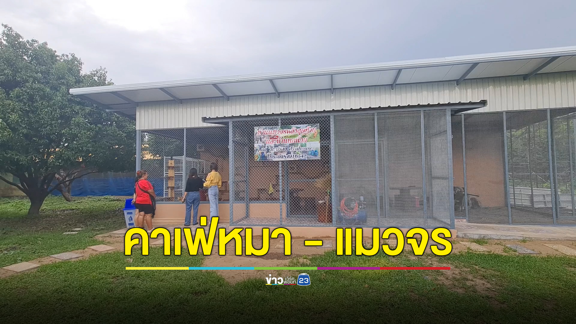 สาวสุโขทัยใจบุญเปิดคาเฟ่หาเงินเลี้ยงสุนัขจร - แมวจร กว่า 100 ชีวิต แถมไถ่ชีวิตแพะ วัว ต่อลมหายใจ
