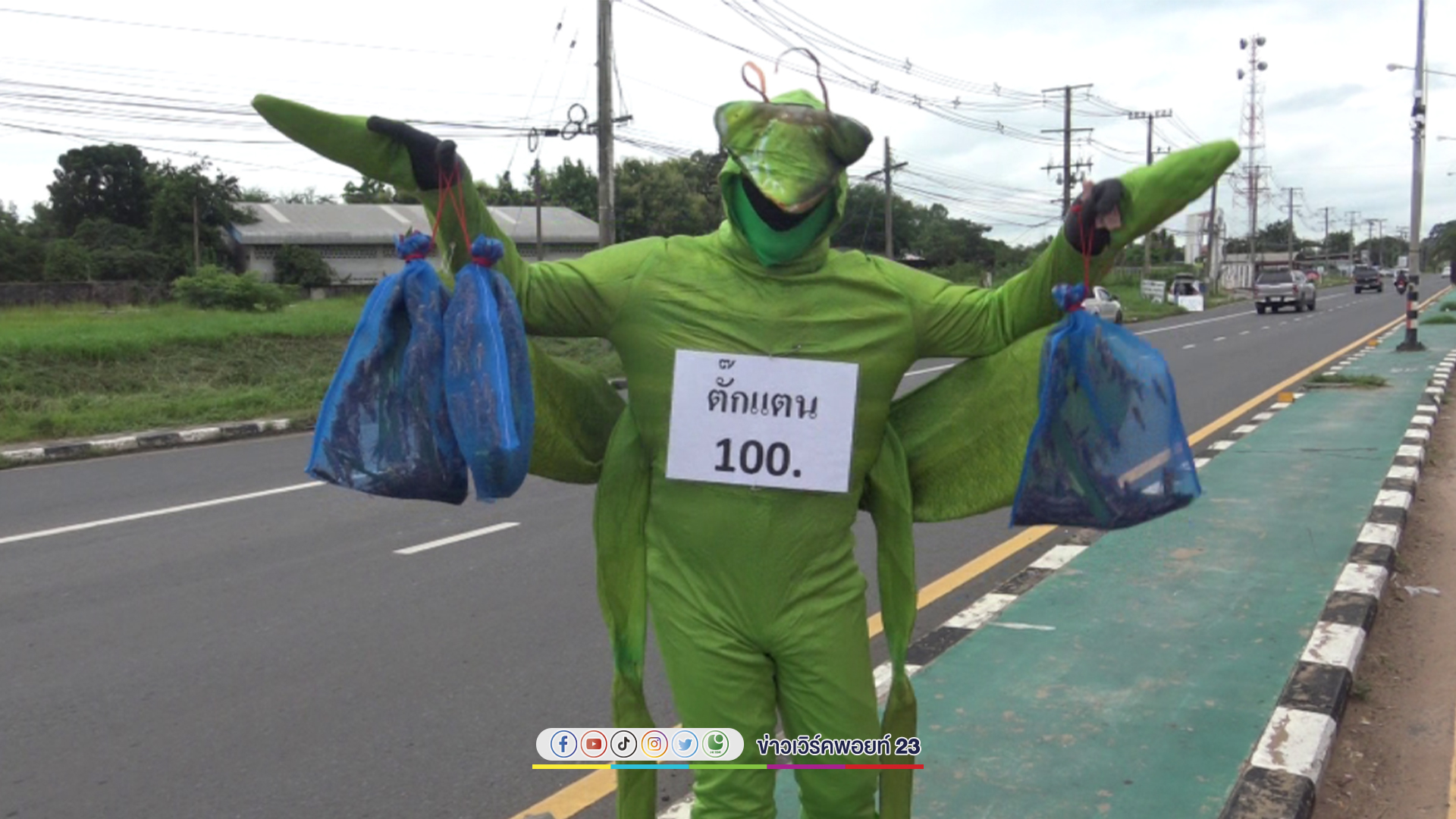 อดีตครูปิ๊งไอเดีย แต่งชุดตั๊กแตนสีเขียว ขายตั๊กแตนตามสี่แยก ยอดพุ่งสุดปัง