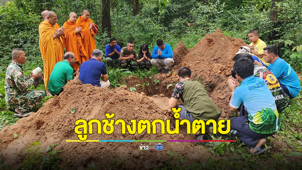 สลด..ลูกช้างตกน้ำตายบริเวณน้ำตกสาริกา
