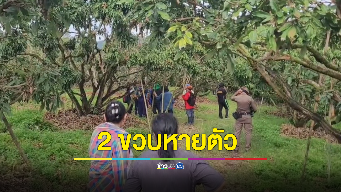 ระดมค้นหาเด็กชายวัย 2 ขวบหายตัวกลางสวนลำไย