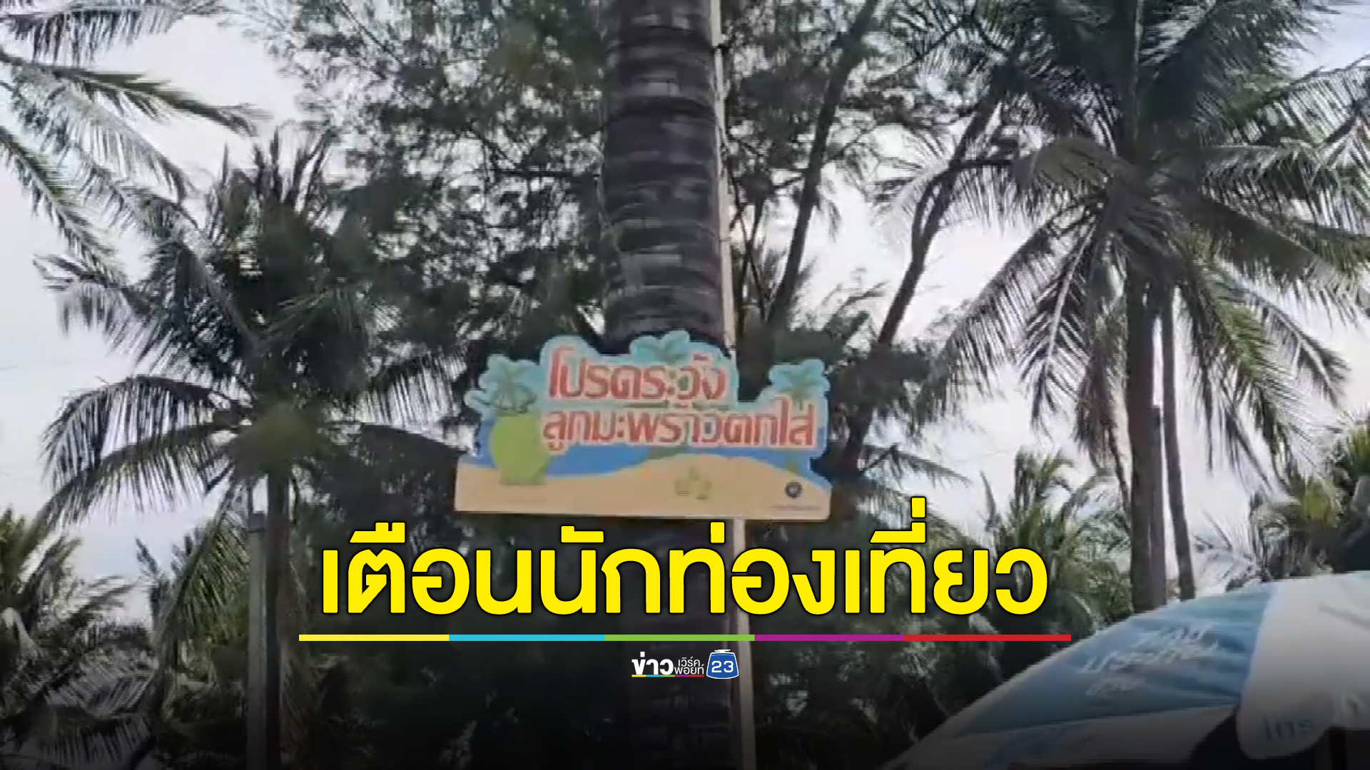 ชายหาดบางแสนขึ้นป้ายเตือนนทท.ระวัง"ลูกมะพร้าว"ตกใส่หัว หลังเกิดเหตุไม่คาดฝัน