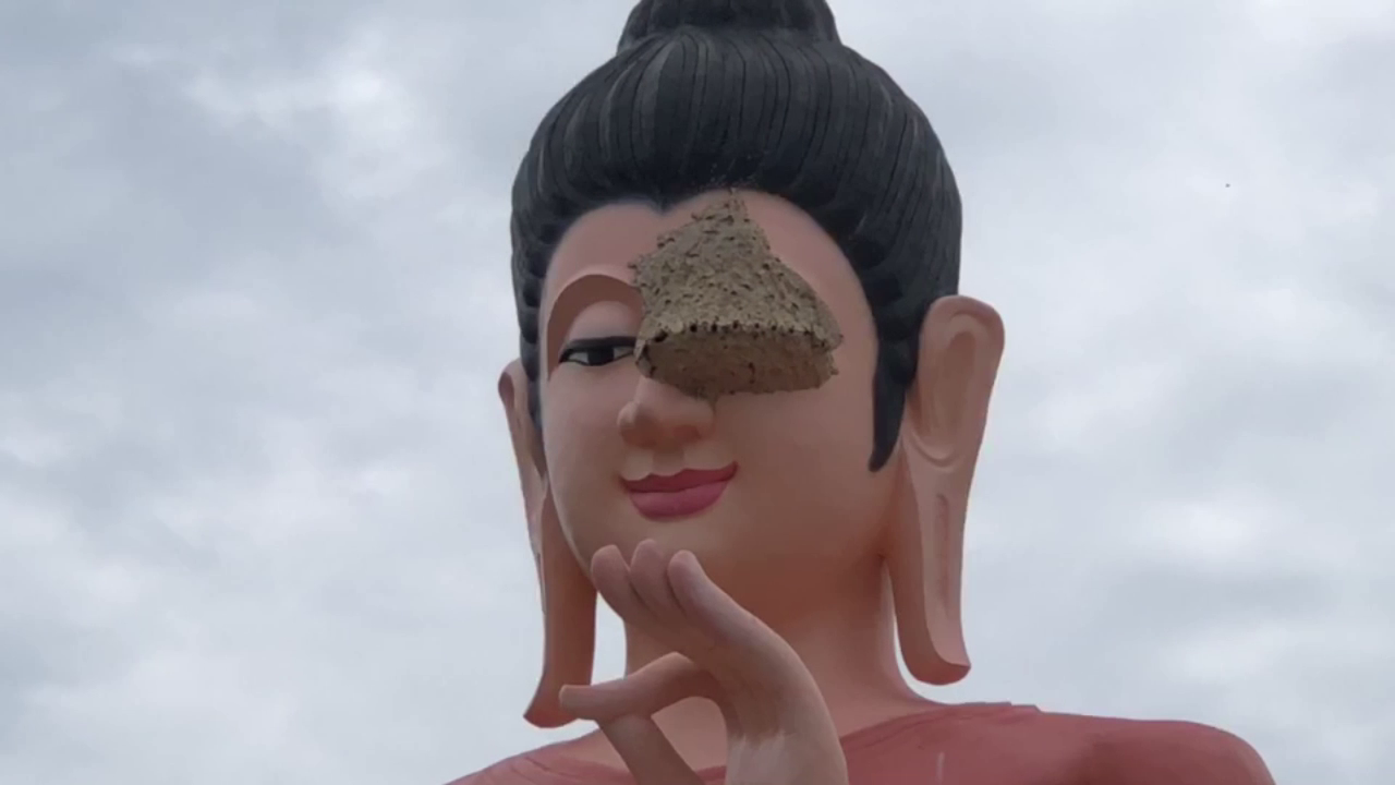แตกตื่น! พบต่อหัวเสือทำรังยักษ์ที่เบ้าตาพระพุทธรูปองค์ใหญ่วัดดัง