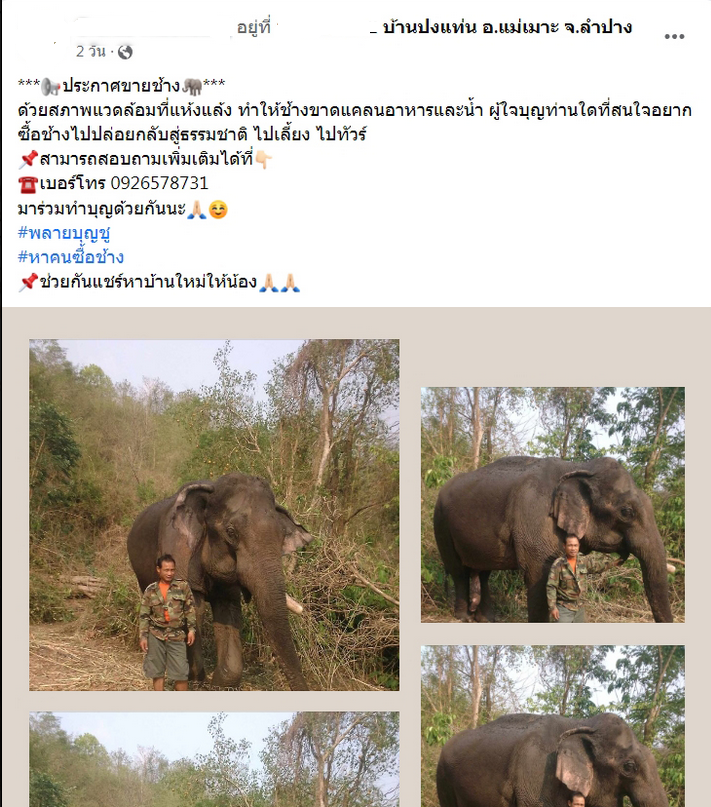 เยี่ยมบ้านใหม่ 'พลายบุญชู' จากลำปาง สู่ สมุทรสาคร