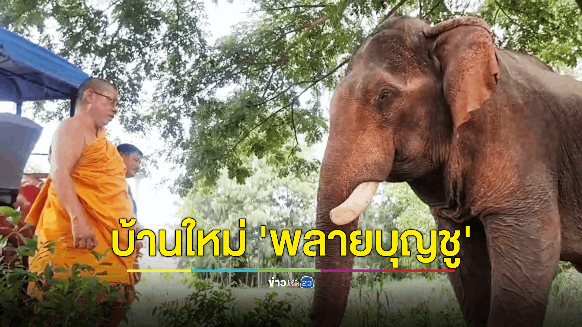 เยี่ยมบ้านใหม่ 'พลายบุญชู' จากลำปาง สู่ สมุทรสาคร
