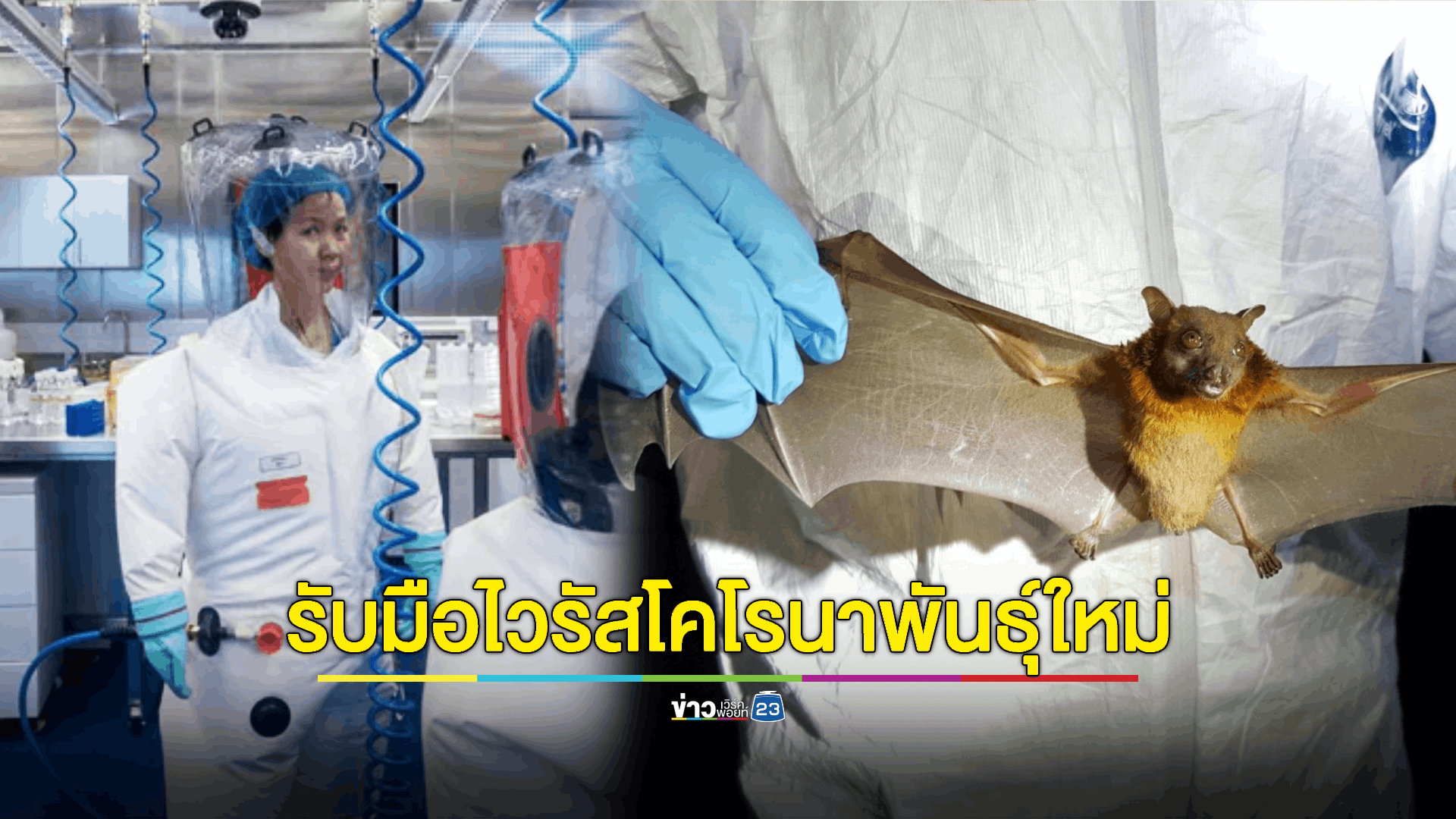 จีนเตือนให้พร้อมรับมือกับไวรัสโคโรนา 20 สายพันธุ์ใหม่จากค้างคาว
