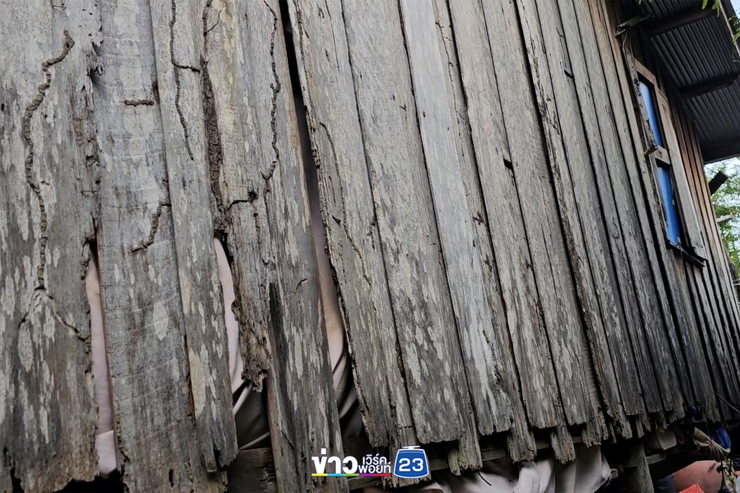 รันทด 10 ชีวิตในบ้านผุพัง วอนสังคมช่วยเหลือ