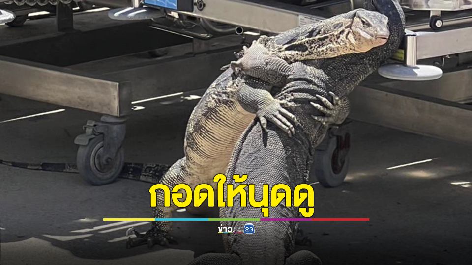 พลอดรักใน รพ. ตกใจเขินนุดหนีมุดลงใต้เตียง