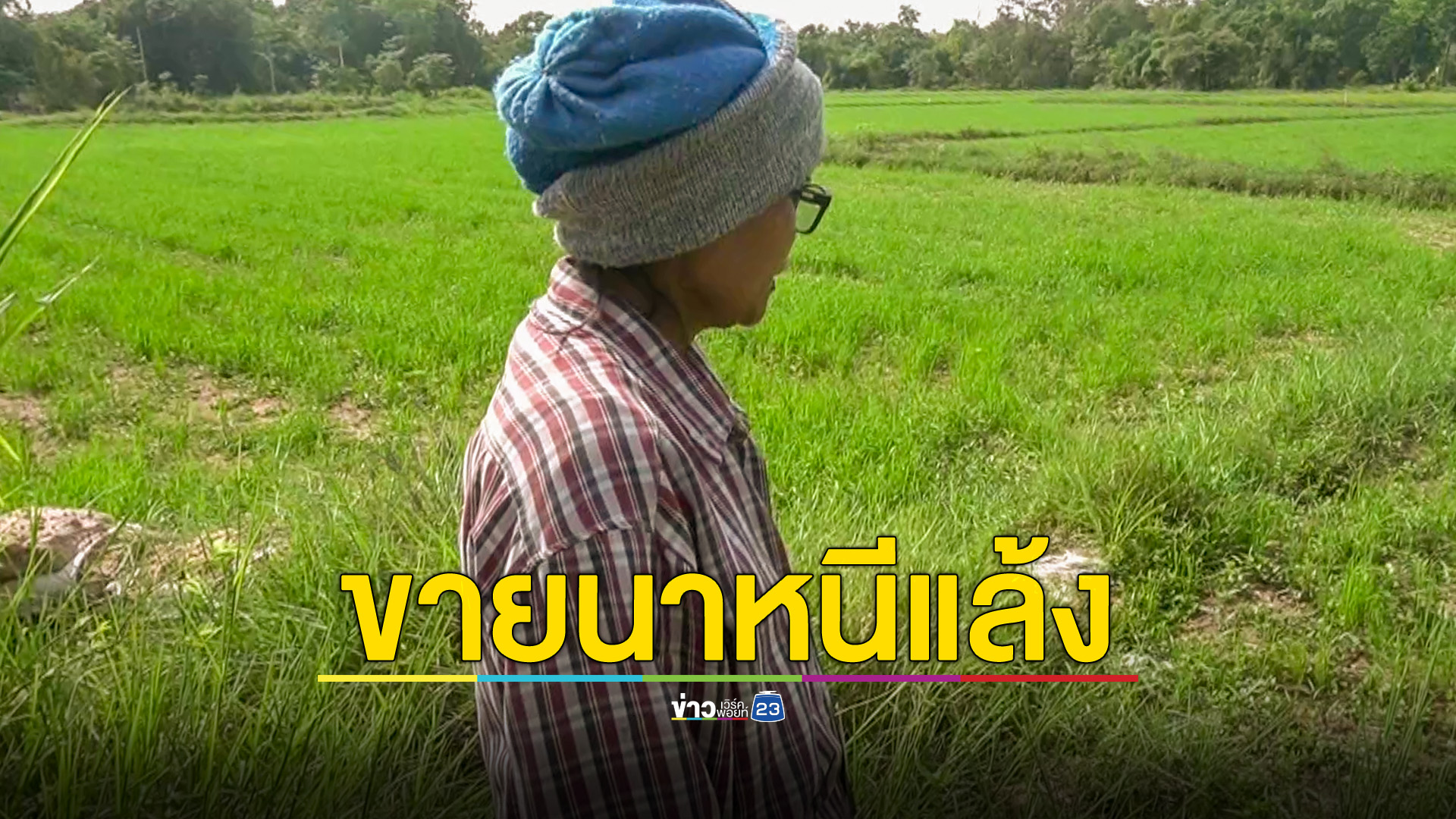 ชาวนาโอด! แล้งหนัก ทยอยขายนาเปลี่ยนอาชีพ