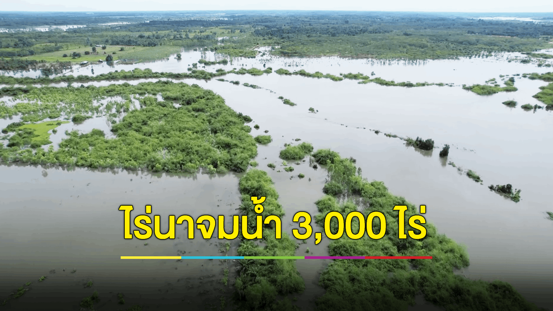 แม่น้ำสงครามเอ่อล้นท่วมบ้าน ปชช. นาข้าวเสียหายร่วม 3,000 ไร่