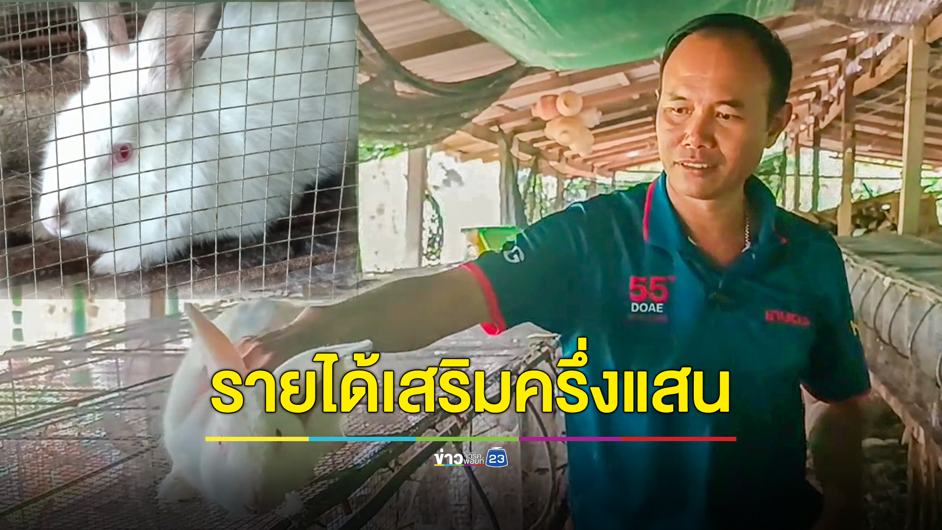 เกษตรหนุ่ม ใช้เวลาว่างเลี้ยงกระต่ายขาย สร้างรายได้ครึ่งแสนต่อเดือน