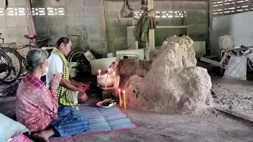 ฮือฮา! ขอโชคพญาปลวกขนาดใหญ่ โผล่ตรงศาลเตี่ยกลางบ้าน