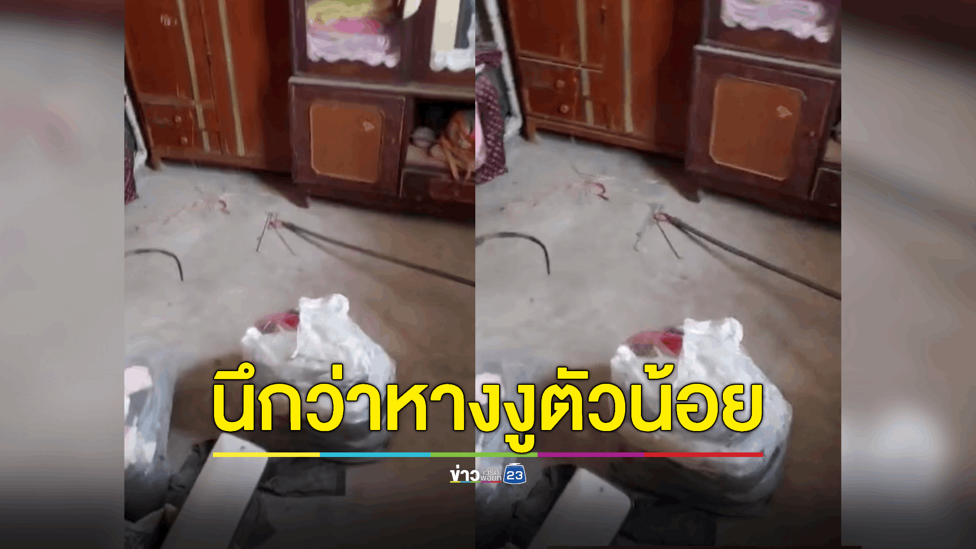 เห็นหางไวๆ นึกว่างูเข้าบ้าน ที่ไหนได้