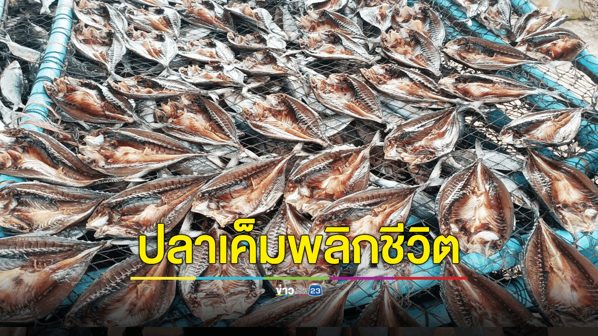 ท้าลองชิม! 'ปลาเค็มกางมุ้ง' ชาวต่างชาติต้องซื้อกลับประเทศ