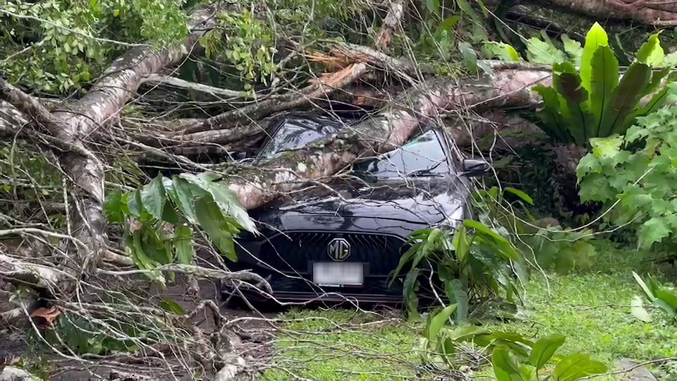 ฝนตกหนักลมแรง ทำต้นไทร 39 ปี โค่นทับอาคารโรงพยาบาล-รถชาวบ้านเสียหาย