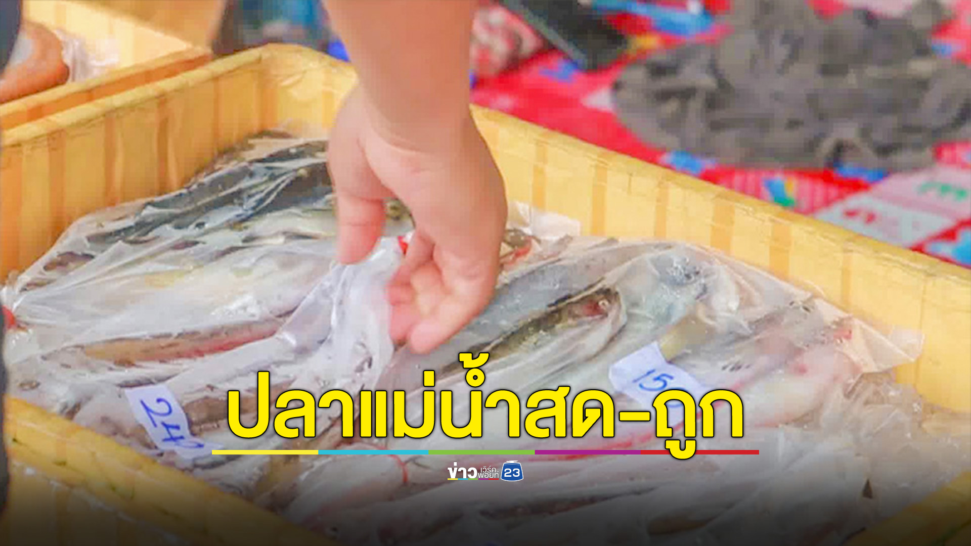 ระดับน้ำเพิ่มหาปลาขายสร้างรายได้