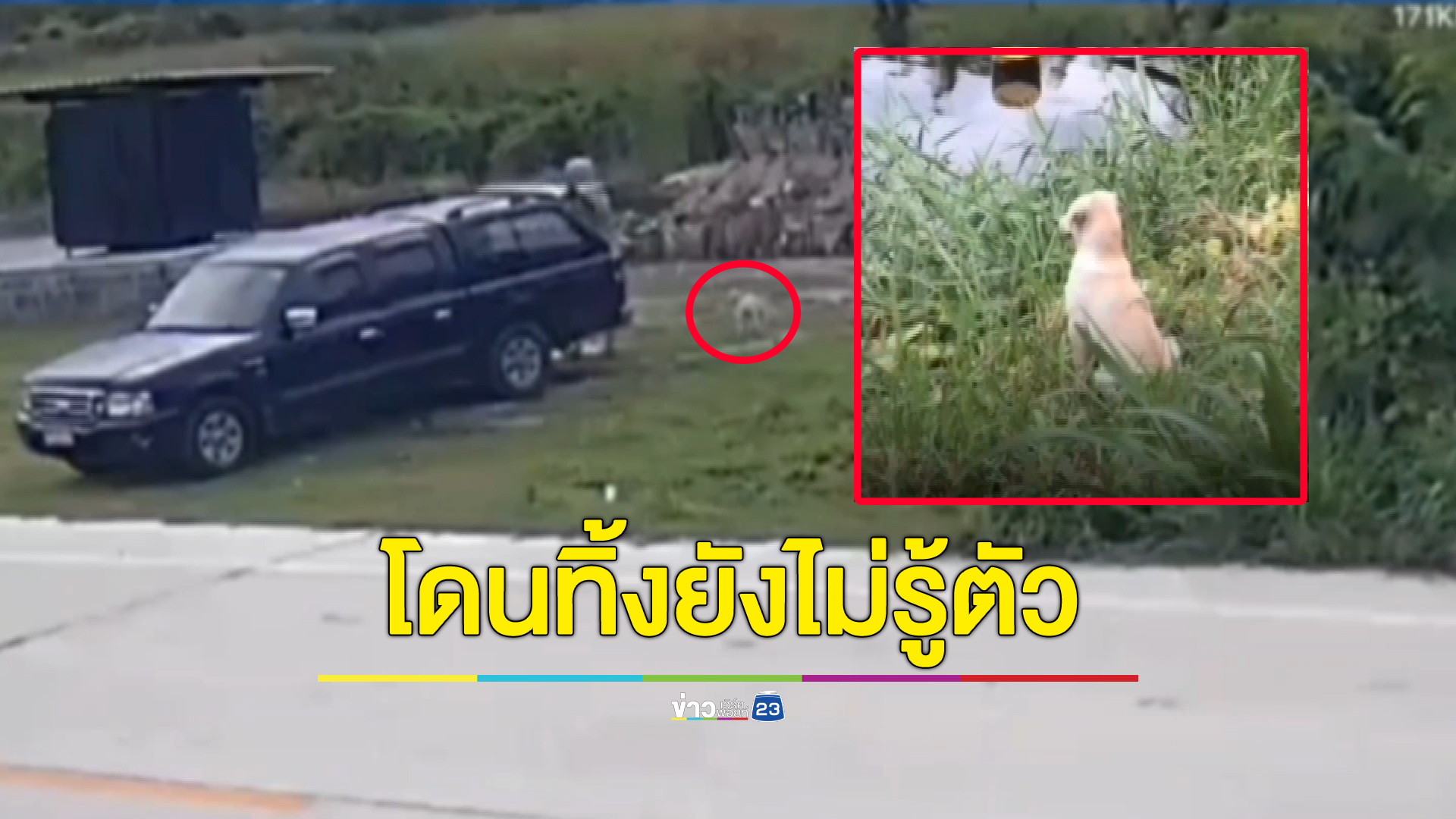 หดหู่ใจ เจ้าของหมาสุดใจร้ายเอาหมามาโยนทิ้งก่อนขับรถหนี หมาไม่รู้เรื่องนั่งคอยเจ้าของอยู่ที่เดิม