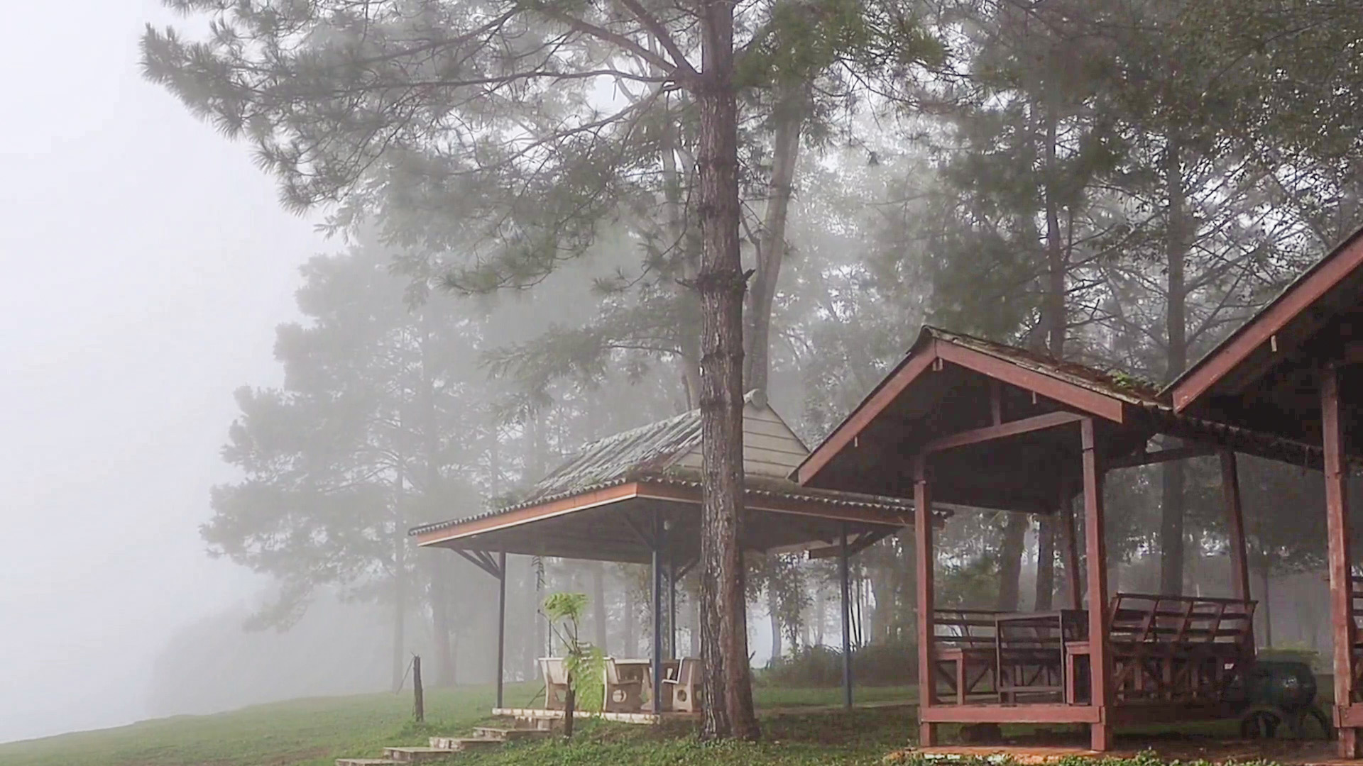 ชมหมอกฝนปกคลุมขาวโพลนสวยงาม บนภูหินร่องกล้า