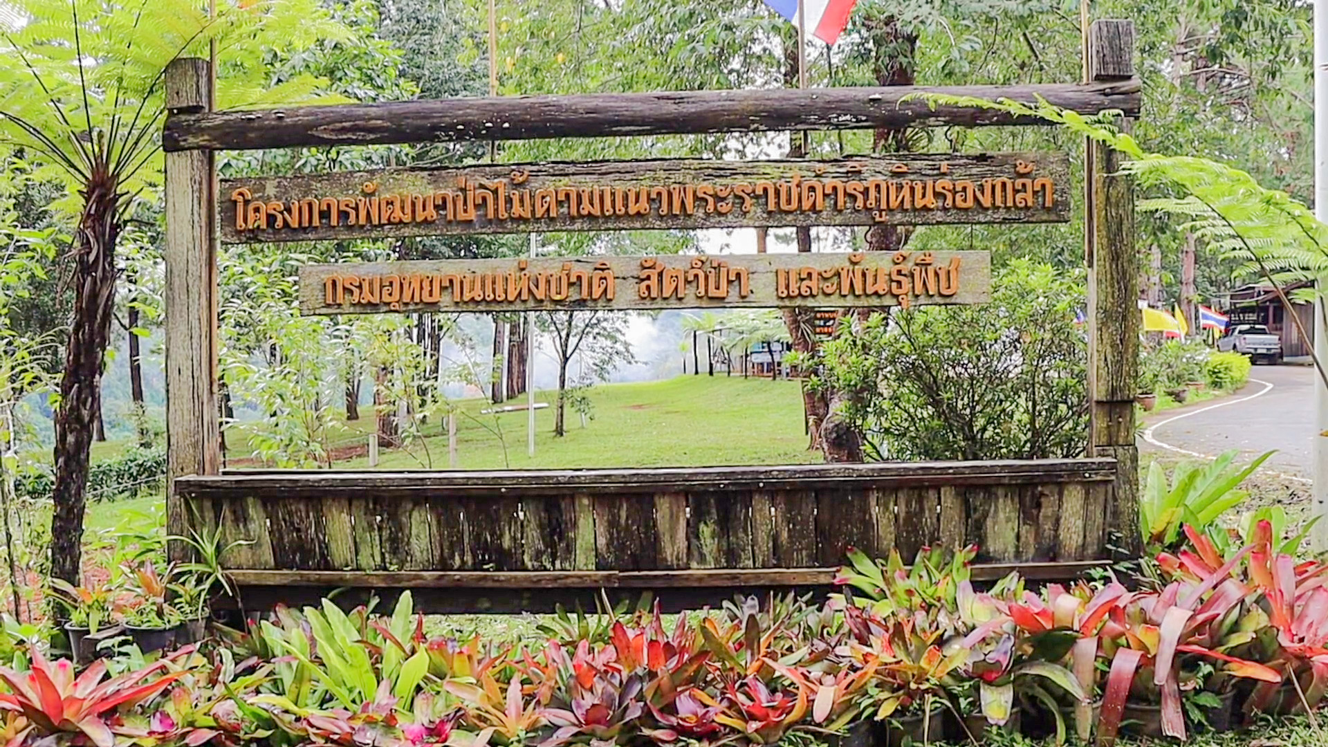 ชมหมอกฝนปกคลุมขาวโพลนสวยงาม บนภูหินร่องกล้า