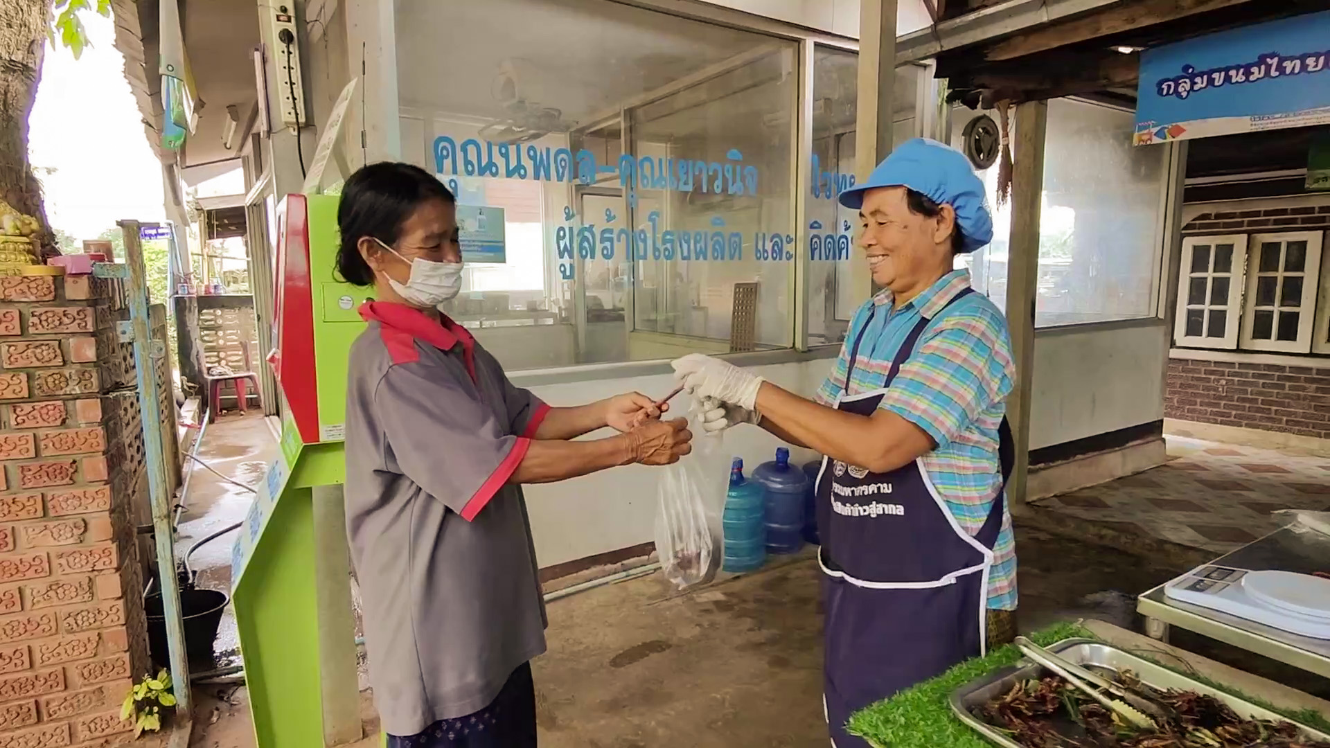 เลี้ยงตั๊กแตนแบบอินทรีย์ ออเดอร์เพียบ! กำเงิน 30,000-50,000 บาทต่อรุ่น