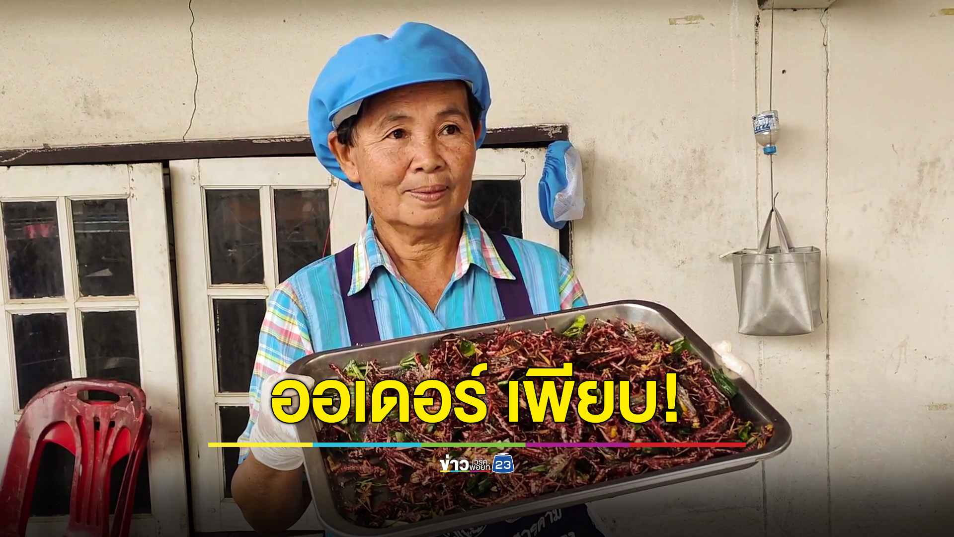 เลี้ยงตั๊กแตนแบบอินทรีย์ ออเดอร์เพียบ! กำเงิน 30,000-50,000 บาทต่อรุ่น