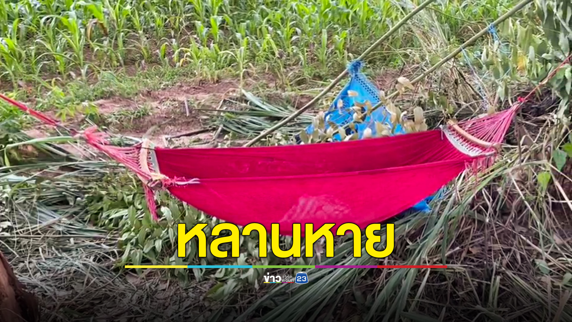 ยายพาหลานไปทำสวน กลับมาหาหลานไม่เจอ พบอีกทีอยู่ไกลกว่า 2 กม.