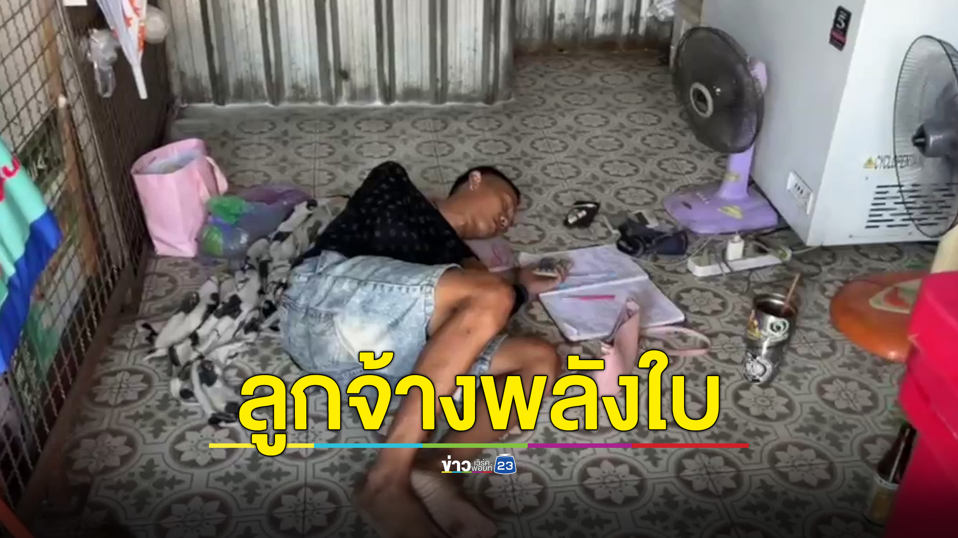 ลูกจ้างร้านพลังใบเพลียน้ำกระท่อมเผลอหลับคาร้าน ถูกโจรย่องเงียบขโมยกระป๋องเงินสูญกว่าสองพัน