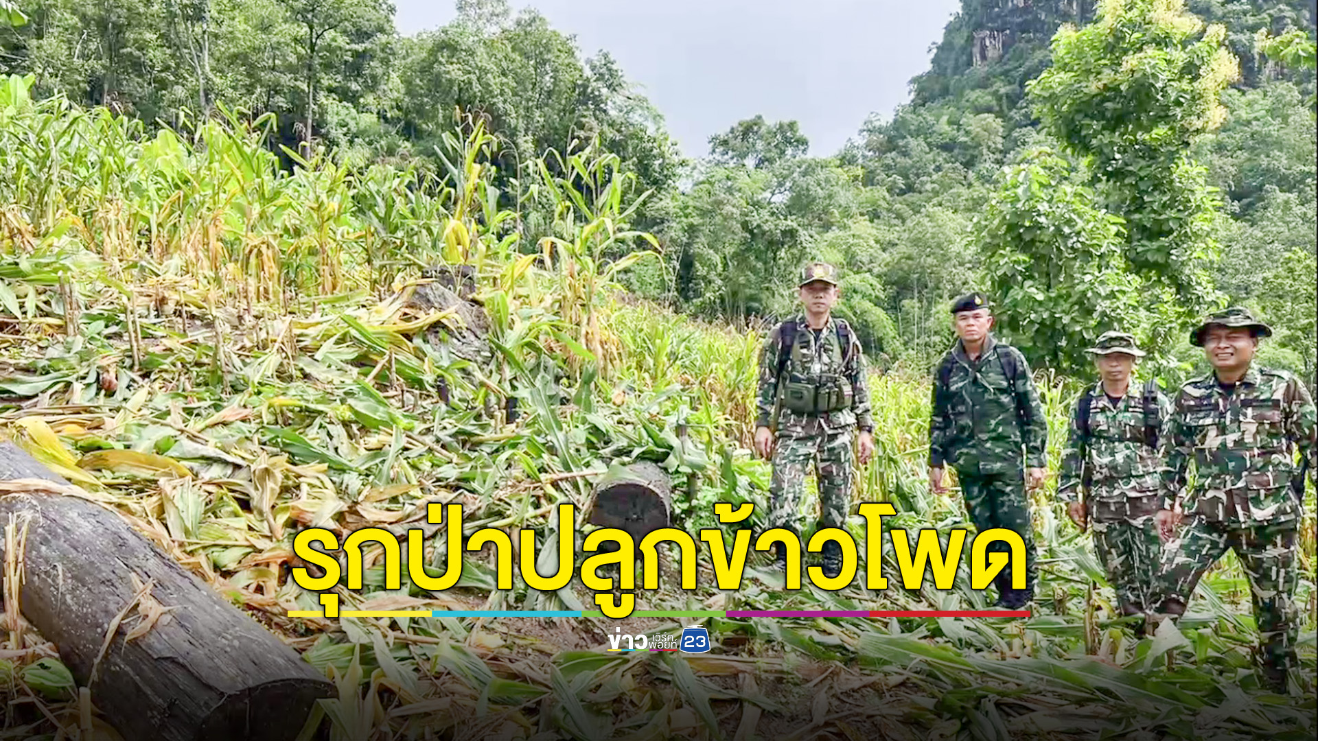 ชาวบ้านรุกที่อุทยาน ปลูกข้าวโพด